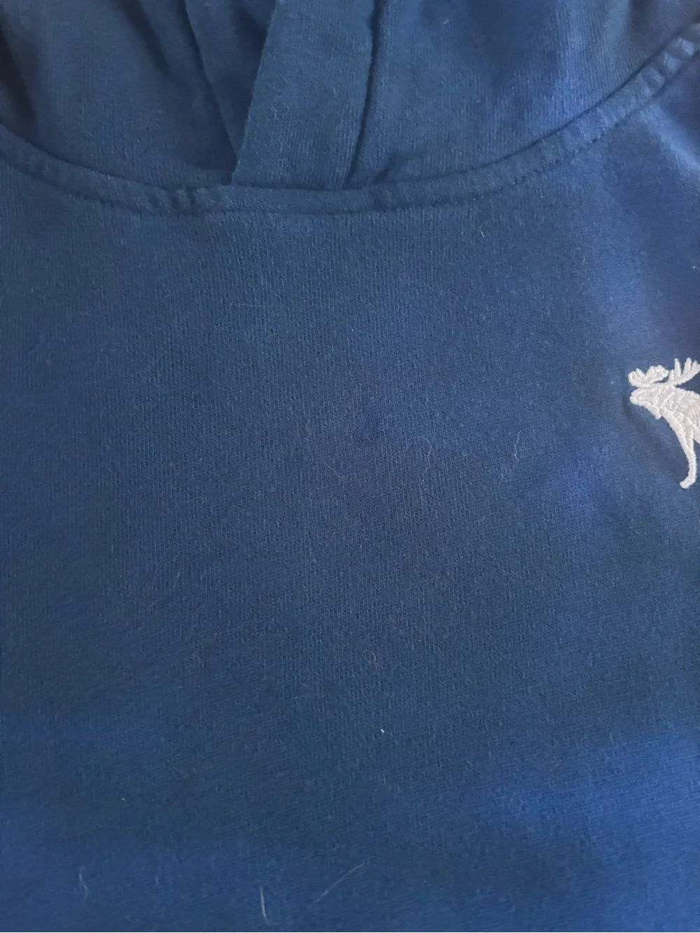 abercrombie kids Black and blue  Logo Hoodie with Embroidered Crest- set of 2